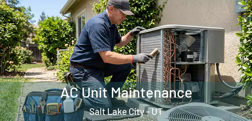 AC Unit Maintenance Salt Lake City - UT